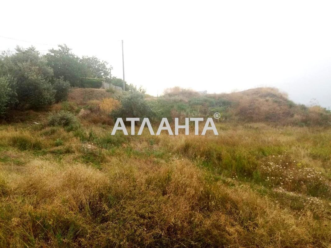 Landplot by the address st. Rynochnaya (area 8 acr) - Atlanta.ua - photo 2