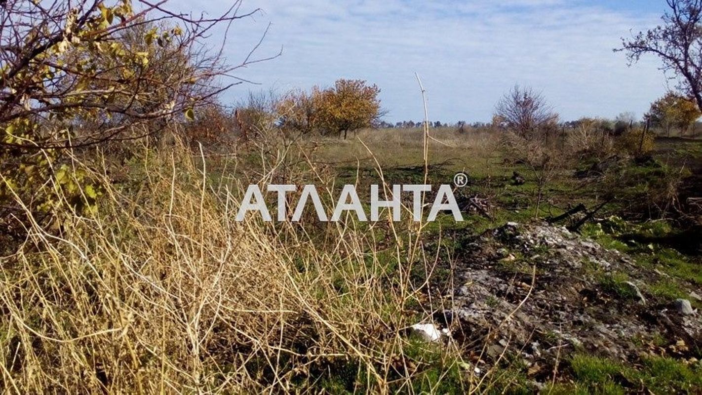 Дом (площадь 48 м²) - Atlanta.ua - фото 3