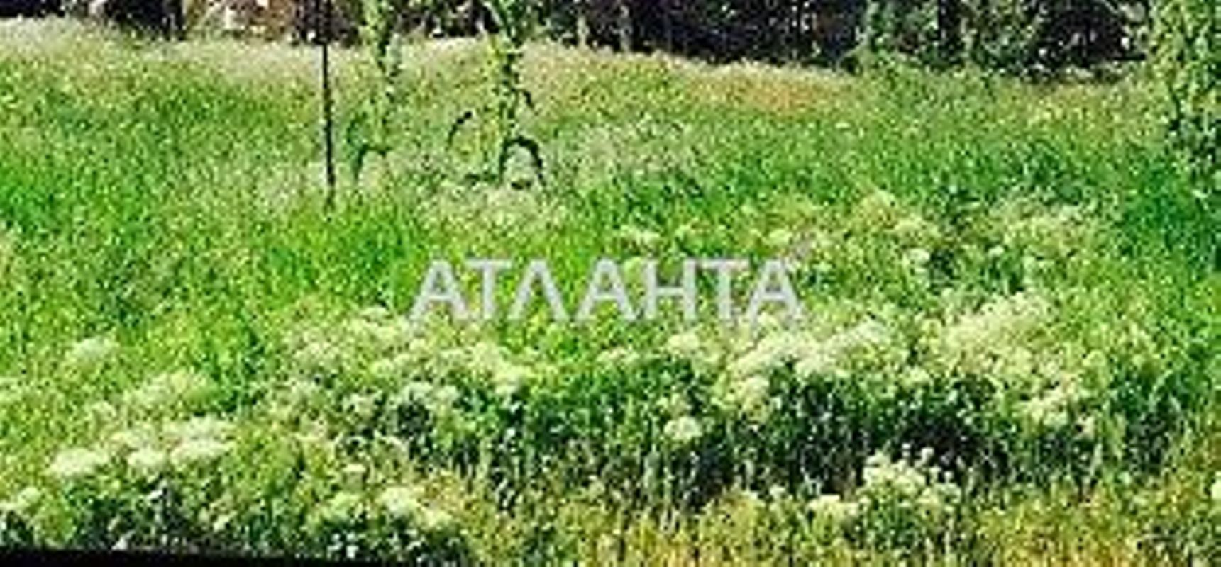 Ділянка за адресою вул. Приморська (площа 10 сот) - Atlanta.ua - фото 2