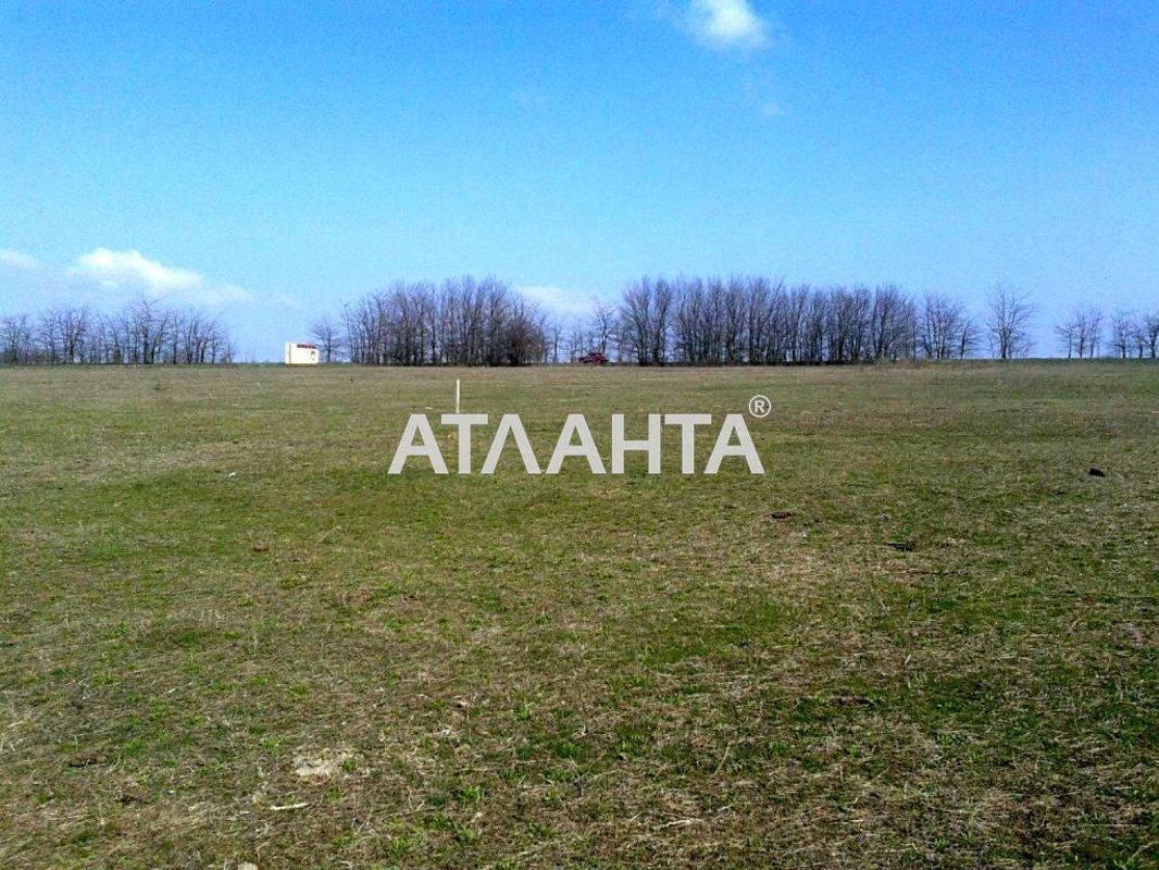 Landplot by the address st. Massiv 26 (area 6 acr) - Atlanta.ua - photo 3