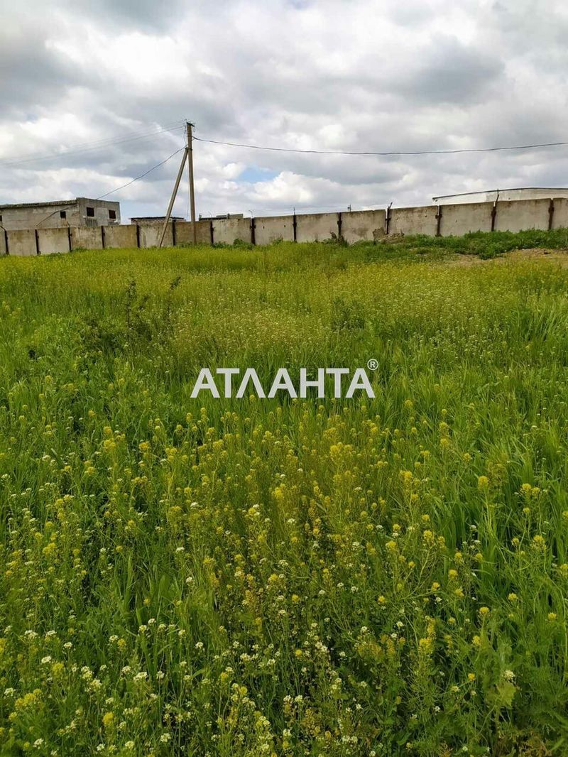 Landplot by the address st. Vesennyaya (area 6 acr) - Atlanta.ua - photo 7