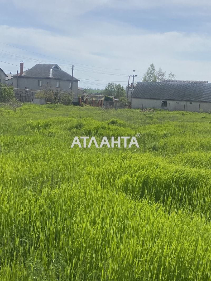 Участок по адресу ул. Виноградная (площадь 10 сот) - Atlanta.ua - фото 4