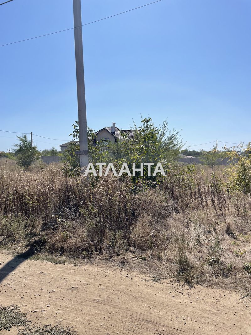 Landplot by the address st. Kashtanovaya (area 7,3 acr) - Atlanta.ua - photo 4