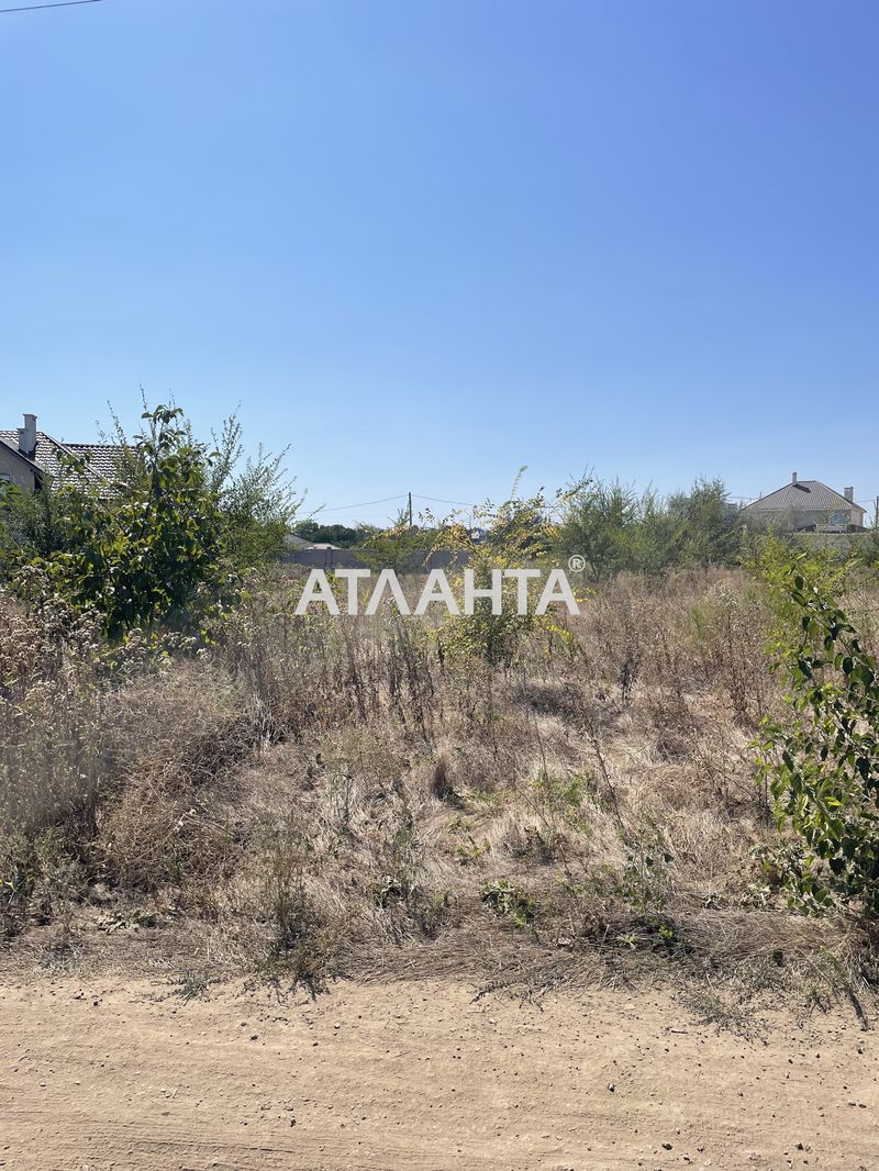 Landplot by the address st. Kashtanovaya (area 7,3 acr) - Atlanta.ua - photo 5