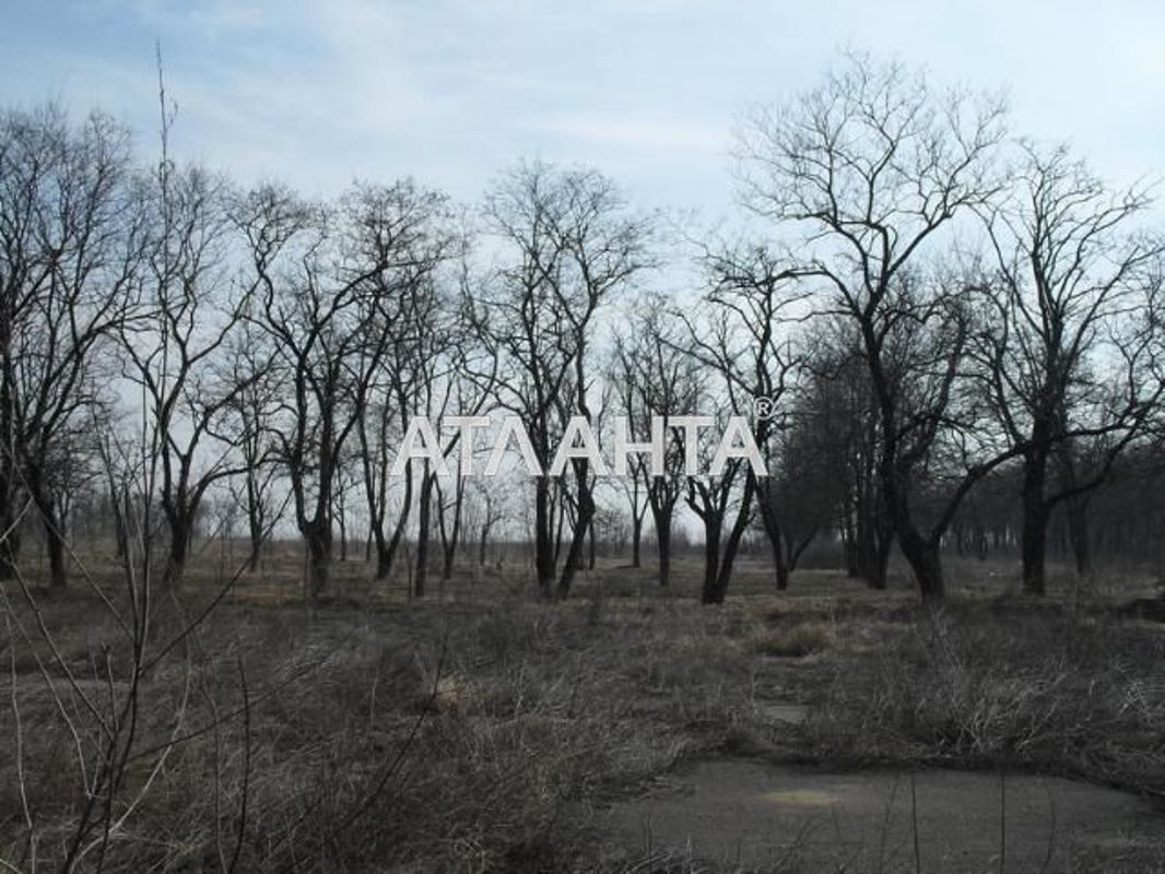 Участок по адресу ул. Абрикосовая (площадь 18 сот) - Atlanta.ua - фото 2