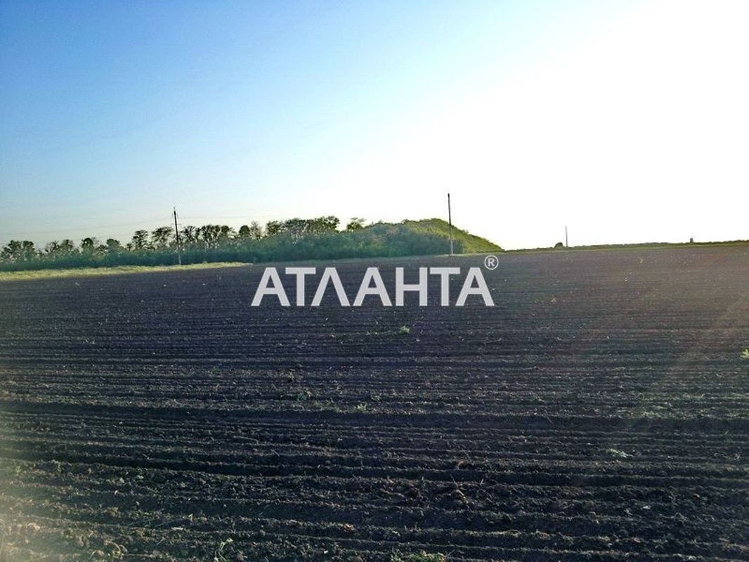 Landplot by the address (area 6,8 acr) - Atlanta.ua - photo 4