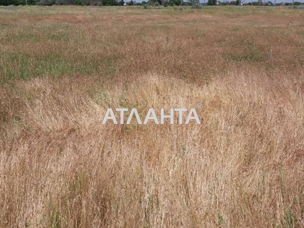 Landplot by the address st. Radostnaya (area 10 acr) - Atlanta.ua - photo 2