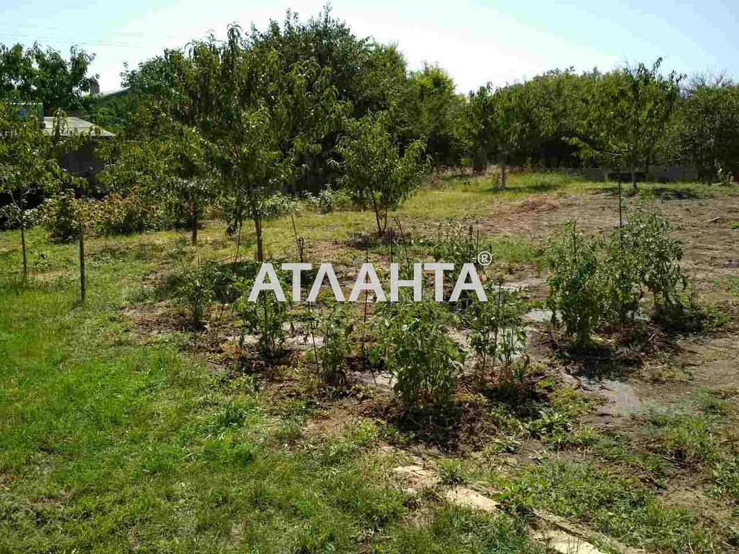 Дача (площадь 64 м²) - Atlanta.ua - фото 5