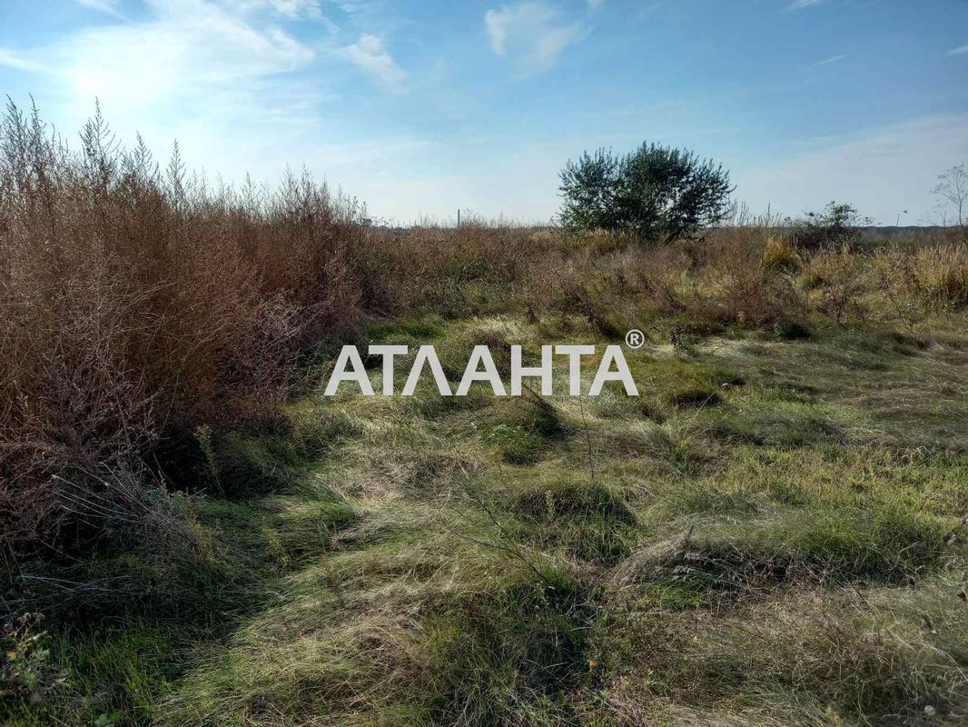 Ділянка за адресою вул. Масив №21 (площа 4,4 сот) - Atlanta.ua - фото 3