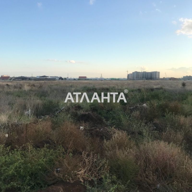 Landplot by the address st. Zhemchuzhnaya (area 8,2 acr) - Atlanta.ua - photo 2