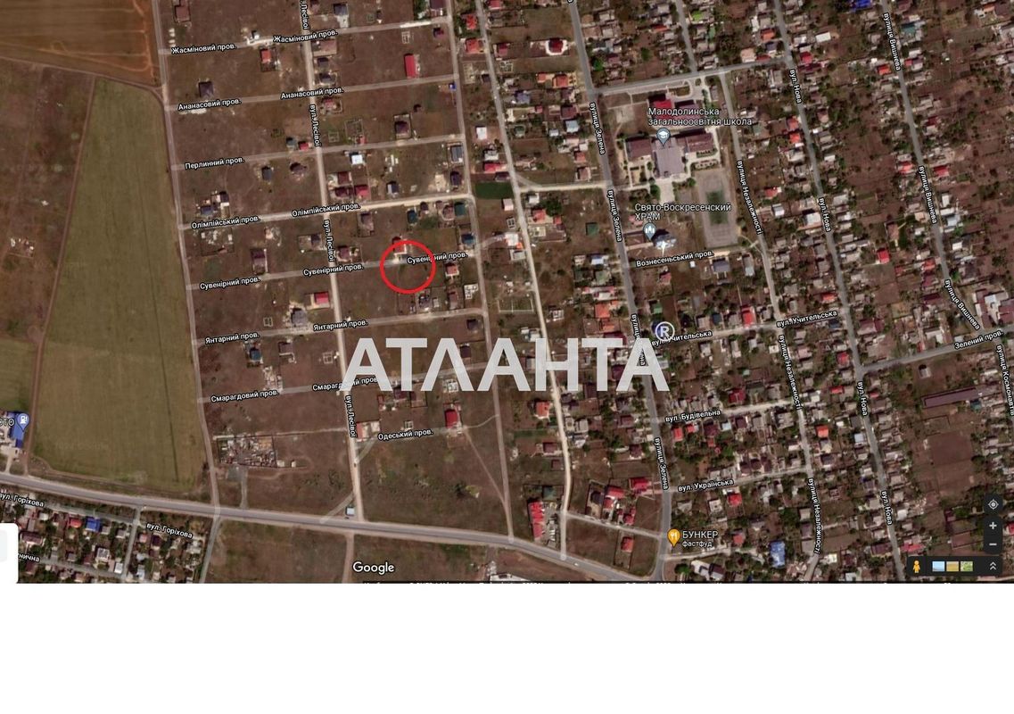 Landplot by the address st. Suvenirnyy per (area 6 acr) - Atlanta.ua - photo 3