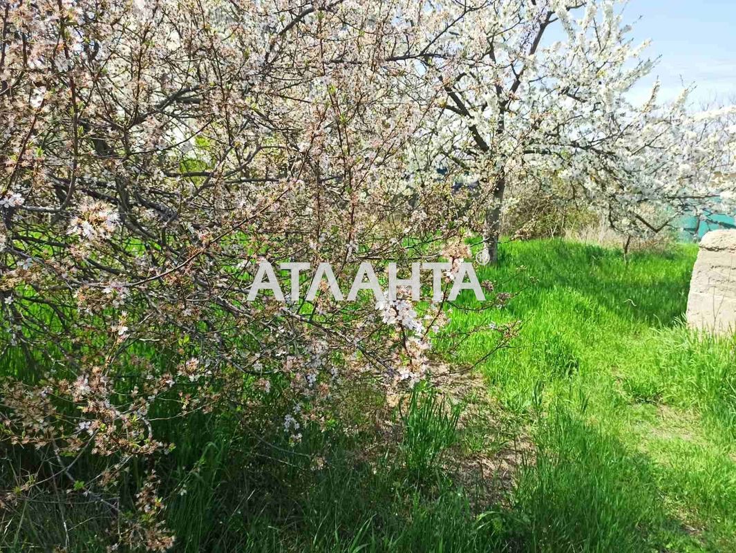 Landplot by the address (area 4,7 acr) - Atlanta.ua - photo 2