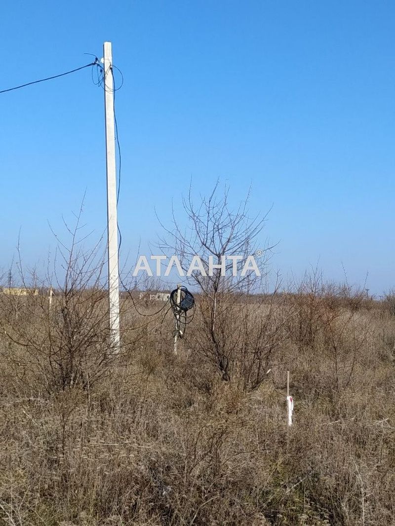 Участок по адресу ул. Молодежная (площадь 8 сот) - Atlanta.ua - фото 3