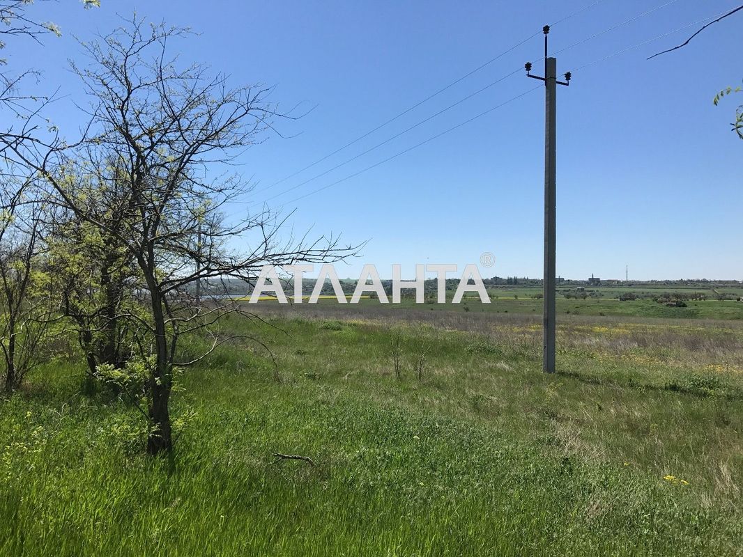 Участок по адресу ул. Тюльпановая (площадь 8,3 сот) - Atlanta.ua - фото 2