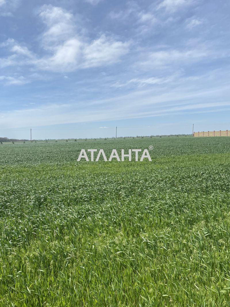 Ділянка за адресою Ягідний пров. (площа 6 сот) - Atlanta.ua - фото 5