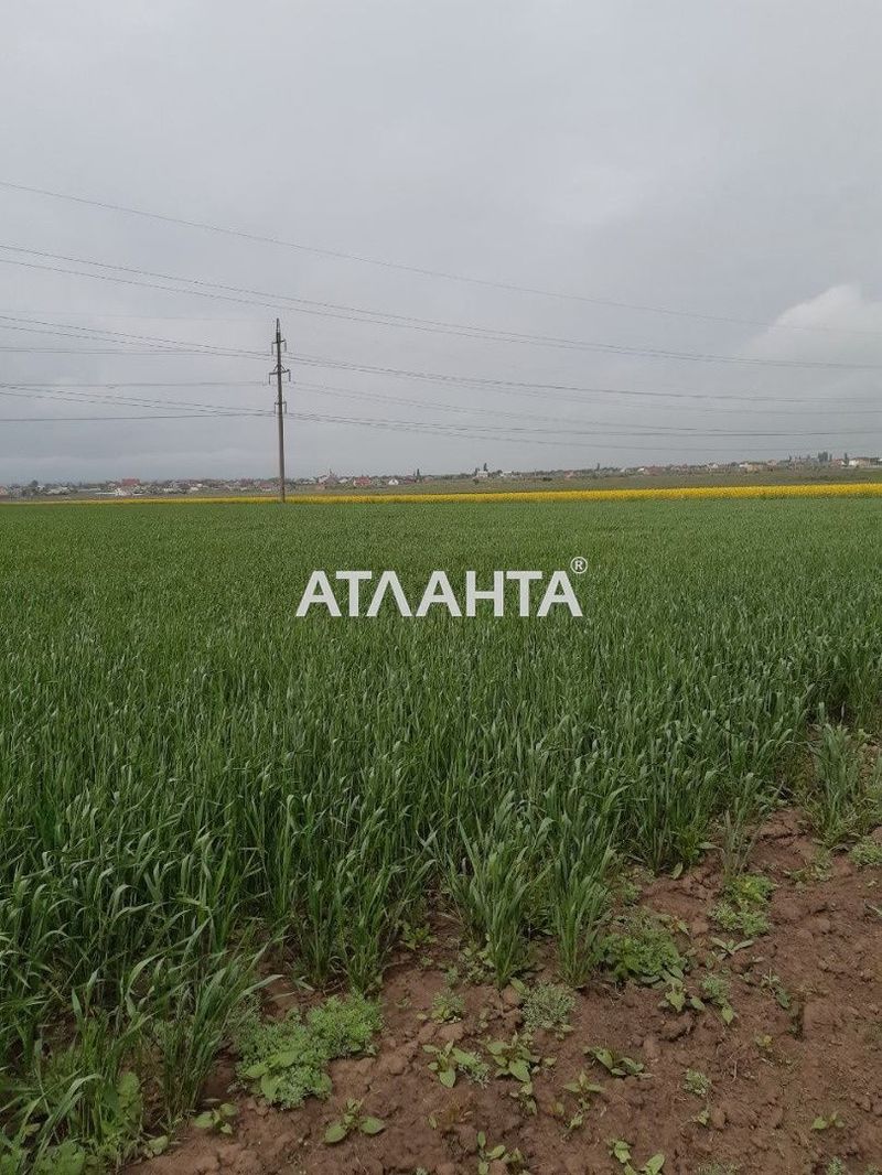 Участок по адресу (площадь 100 сот) - Atlanta.ua - фото 2