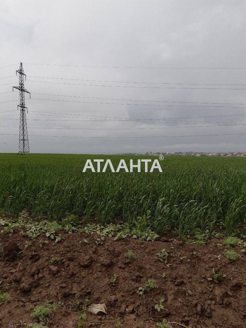 Участок по адресу (площадь 100 сот) - Atlanta.ua - фото 4