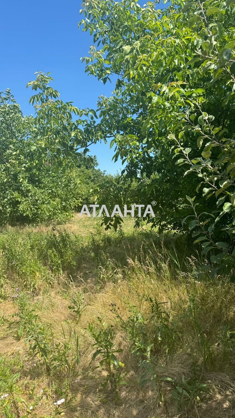 Landplot by the address st. Massiv 11 (area 6 acr) - Atlanta.ua - photo 2