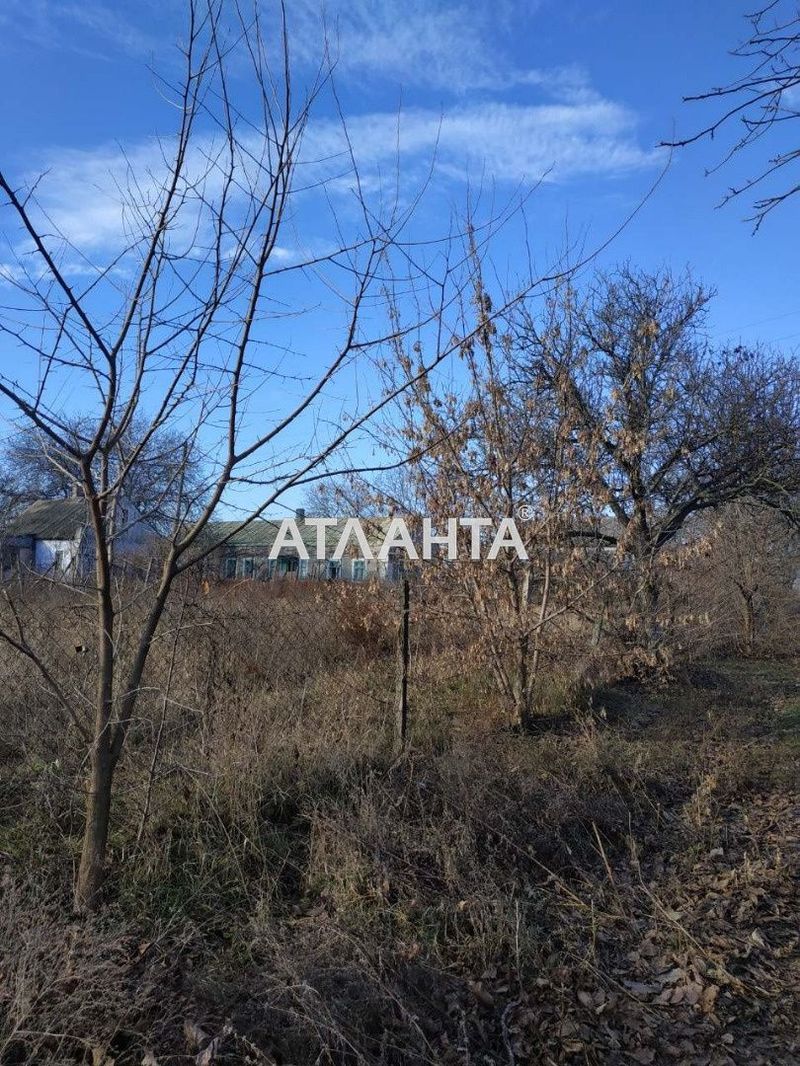 Landplot by the address st. Tsentralnaya (area 25 acr) - Atlanta.ua - photo 2