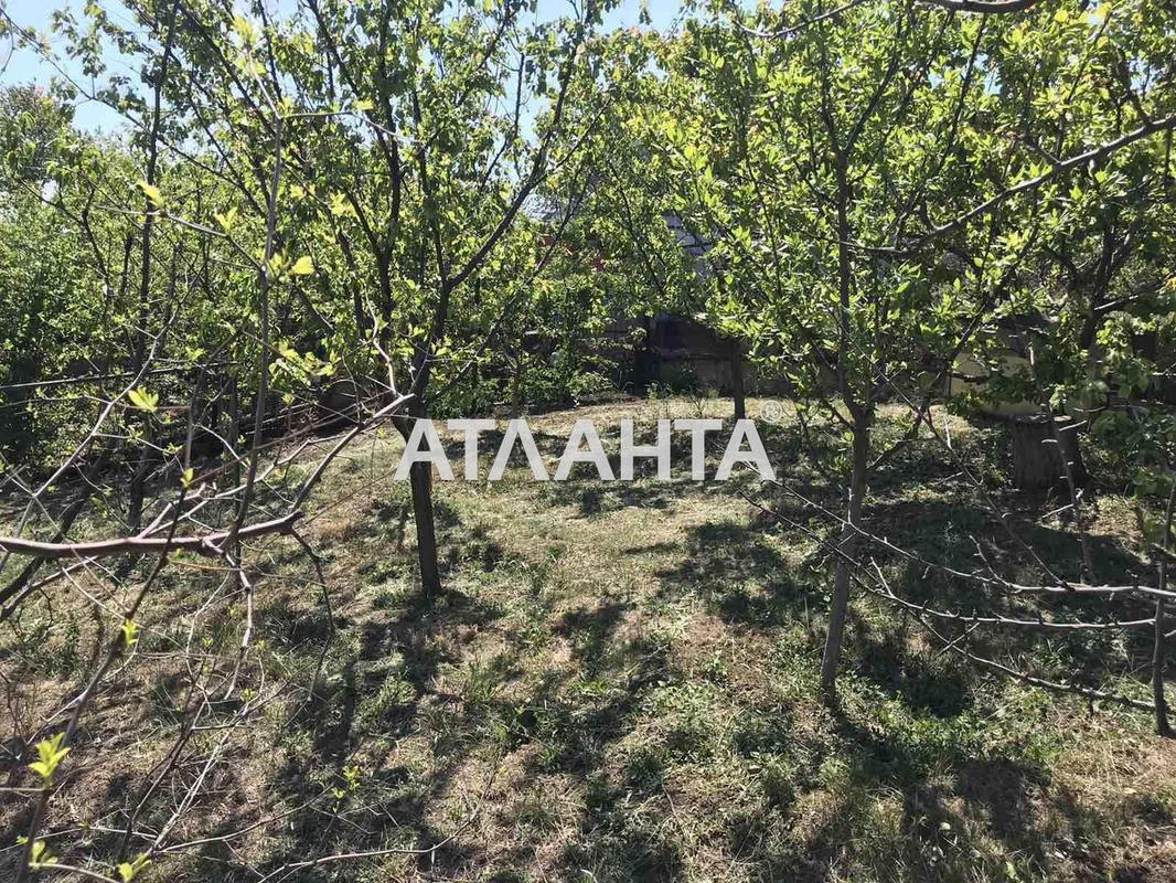 Дача по адресу ул. 21-я линия (площадь 55 м²) - Atlanta.ua - фото 3