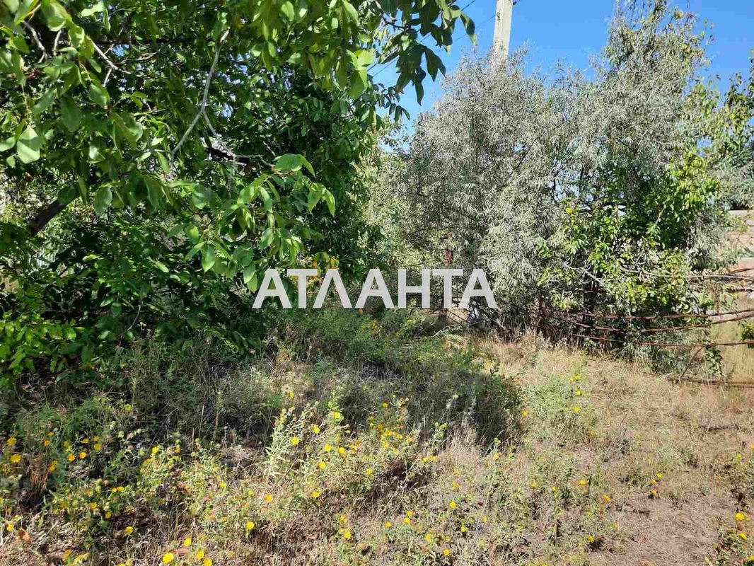 Участок по адресу ул. Зеликова (площадь 5 сот) - Atlanta.ua - фото 2