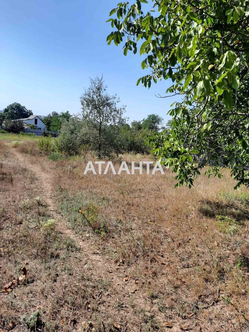Участок по адресу ул. Зеликова (площадь 5 сот) - Atlanta.ua - фото 3