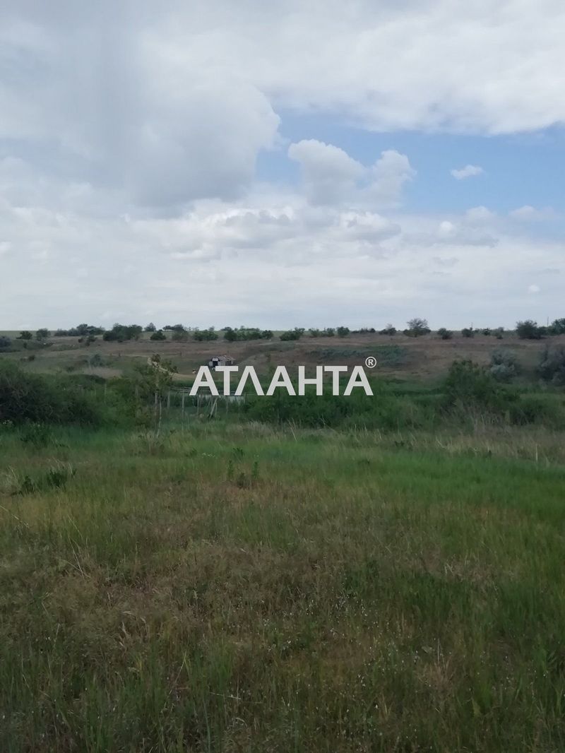 Landplot by the address st. Shevchenko (area 10 acr) - Atlanta.ua - photo 3