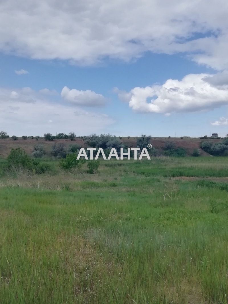 Landplot by the address st. Shevchenko (area 10 acr) - Atlanta.ua - photo 4