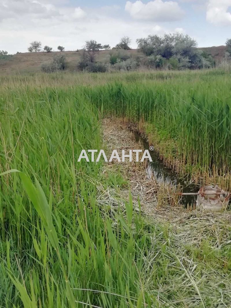 Landplot by the address st. Shevchenko (area 10 acr) - Atlanta.ua - photo 6