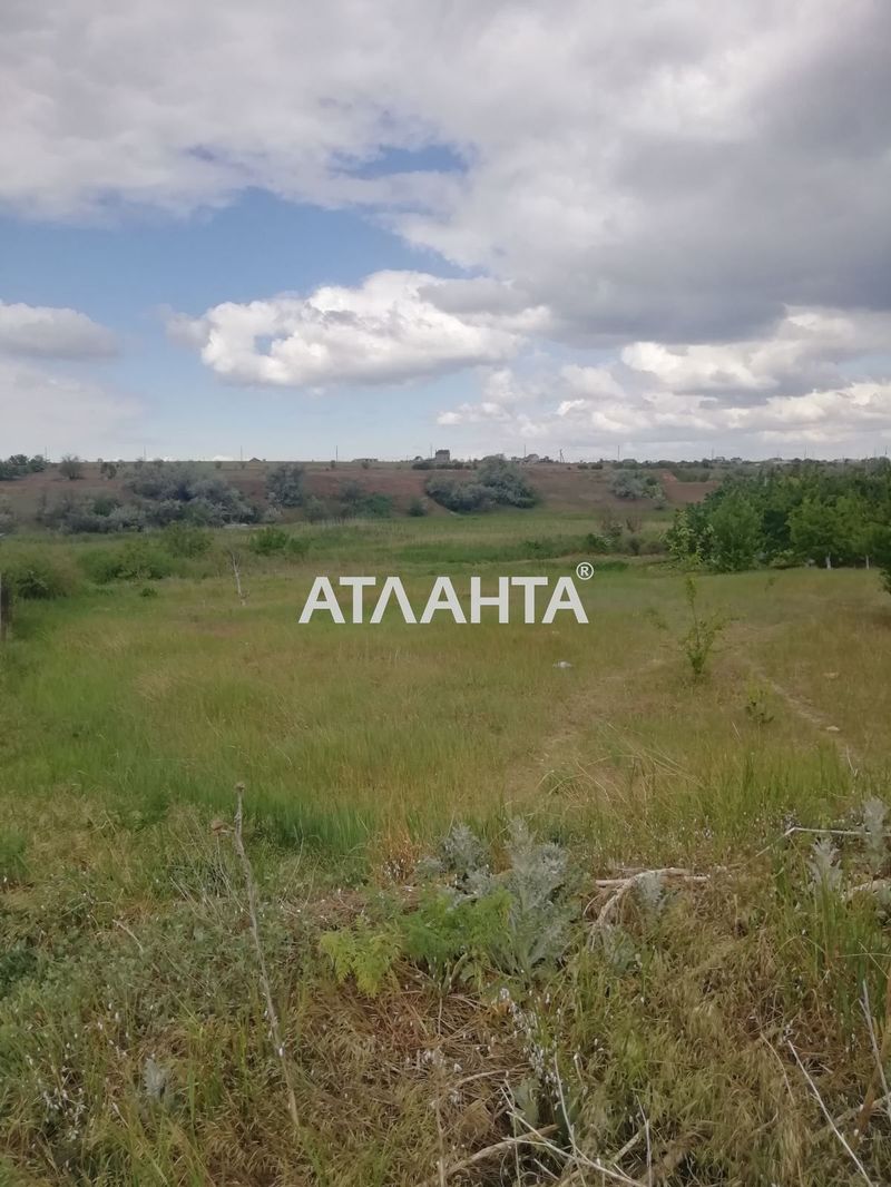 Участок по адресу ул. Шевченко (площадь 20 сот) - Atlanta.ua - фото 2