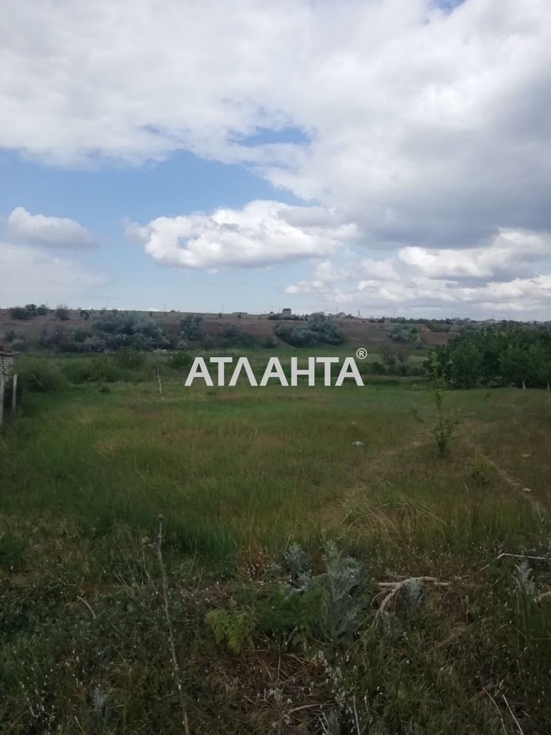 Участок по адресу ул. Шевченко (площадь 20 сот) - Atlanta.ua - фото 3