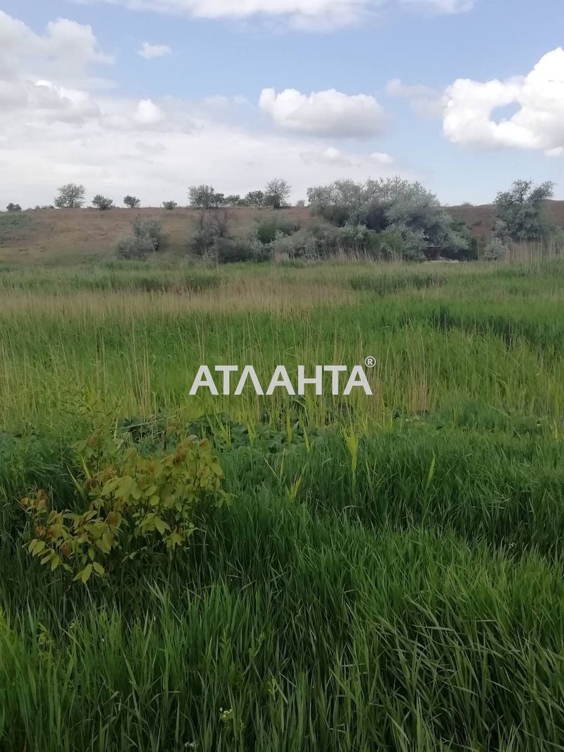 Участок по адресу ул. Шевченко (площадь 20 сот) - Atlanta.ua - фото 6