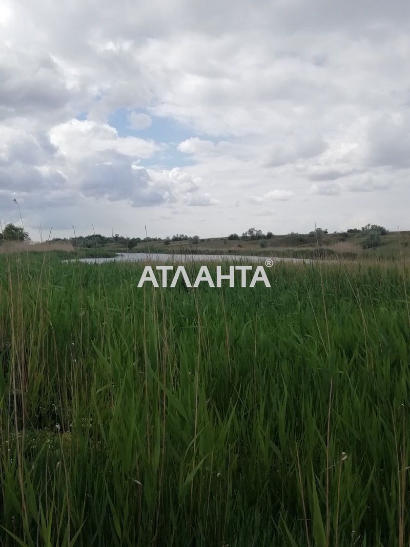 Участок по адресу ул. Шевченко (площадь 20 сот) - Atlanta.ua - фото 8
