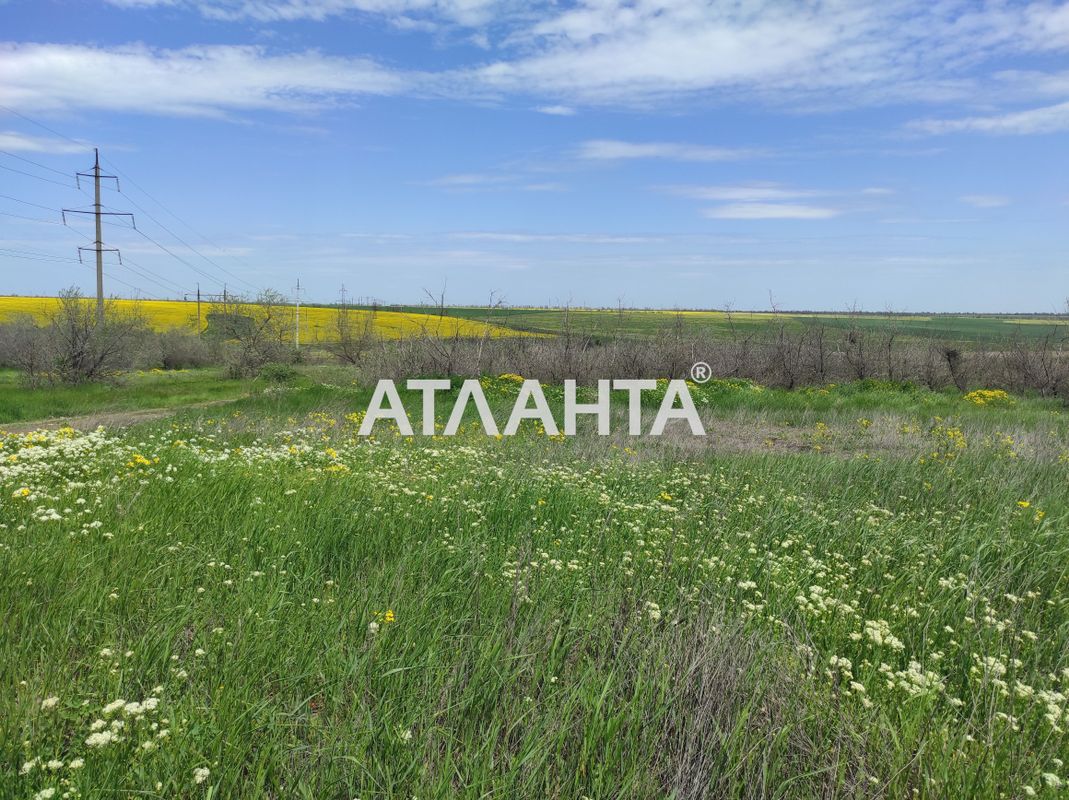 Landplot by the address st. Trudovaya (area 8,5 acr) - Atlanta.ua - photo 3