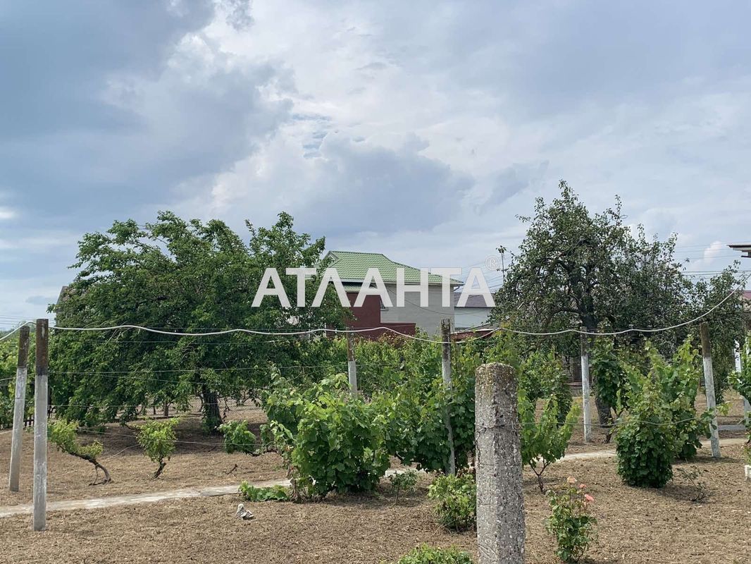 Дача по адресу ул. Солнечная (площадь 60 м²) - Atlanta.ua - фото 12