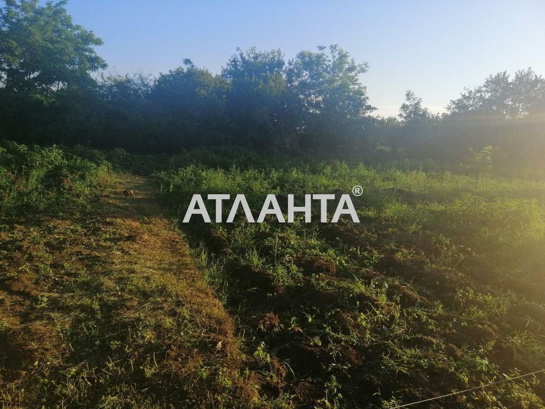 Landplot by the address st. Prilimanskaya (area 10,3 acr) - Atlanta.ua - photo 2