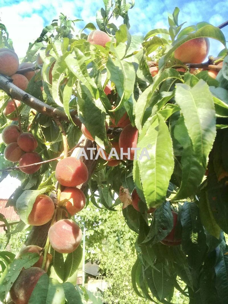 Landplot by the address st. 4 ya liniya (area 6,2 acr) - Atlanta.ua - photo 5