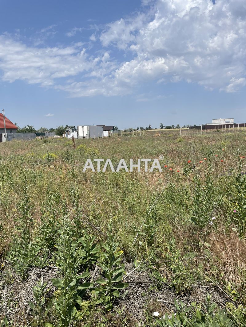 Landplot by the address st. Zamkovaya (area 24 acr) - Atlanta.ua - photo 2