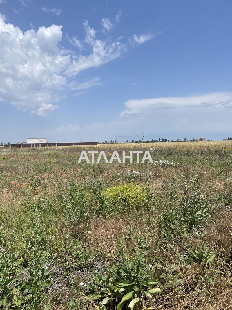 Landplot by the address st. Zamkovaya (area 24 acr) - Atlanta.ua - photo 3