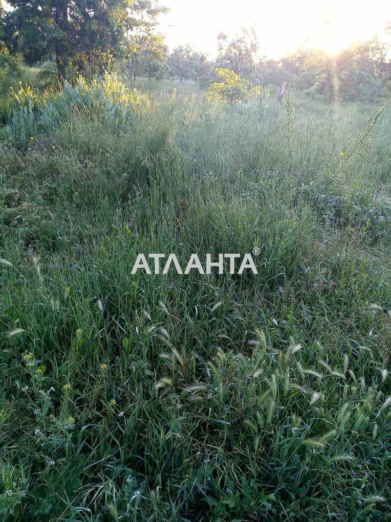 Комерційна нерухомість за адресою Маячний пров. (площа 0) - Atlanta.ua - фото 2