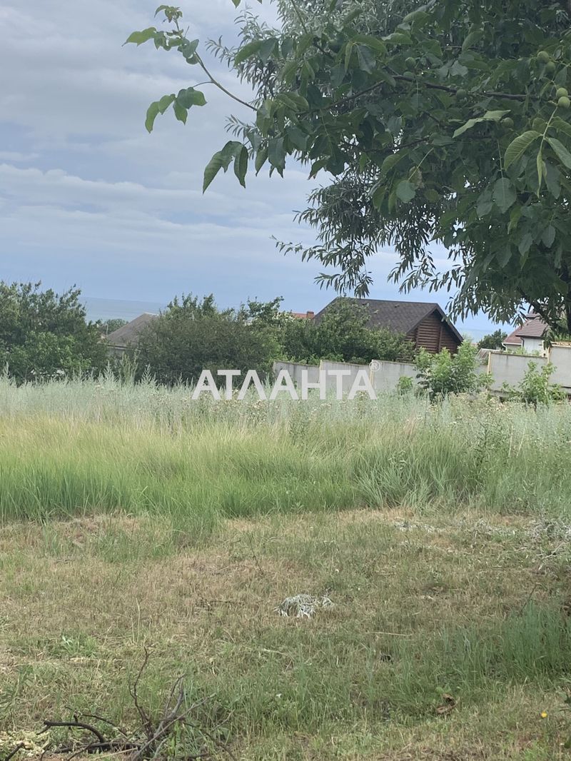 Участок по адресу ул. Луговая (площадь 10 сот) - Atlanta.ua - фото 3