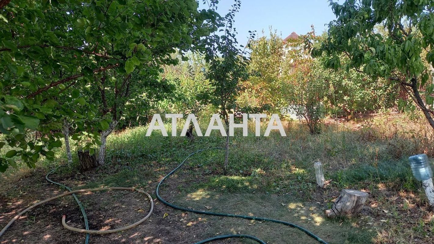 Dacha (area 30 m²) - Atlanta.ua - photo 7