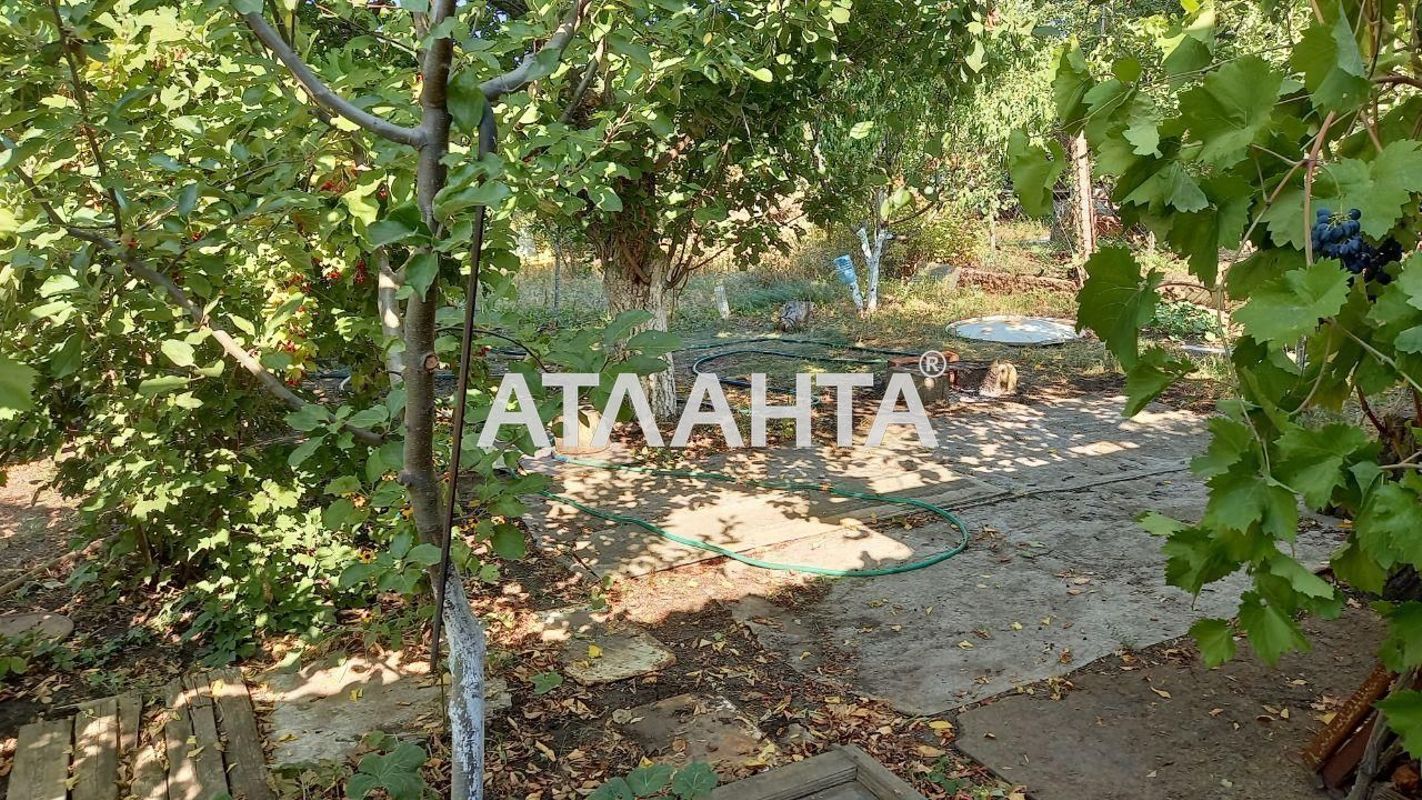 Dacha (area 30 m²) - Atlanta.ua - photo 8