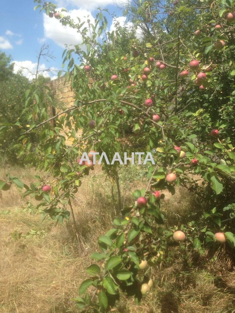 Участок по адресу ул. Зеленая (площадь 5,3 сот) - Atlanta.ua - фото 3