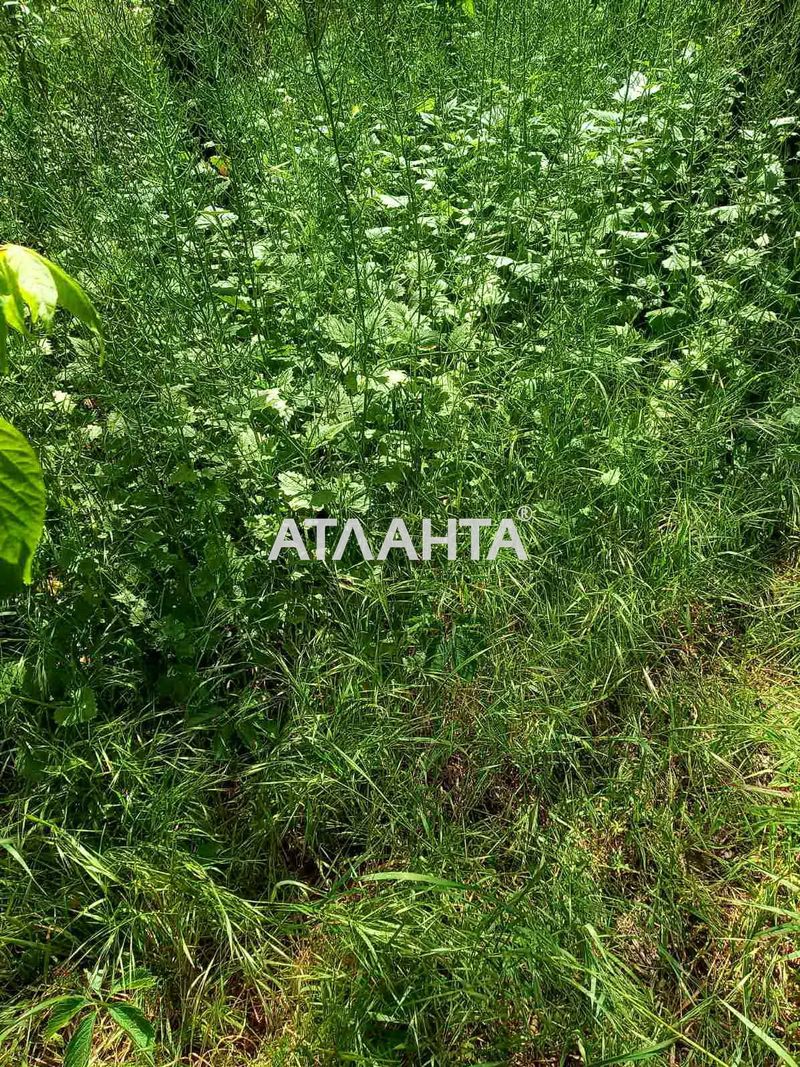 Ділянка за адресою вул. Молодіжна (площа 10 сот) - Atlanta.ua - фото 2