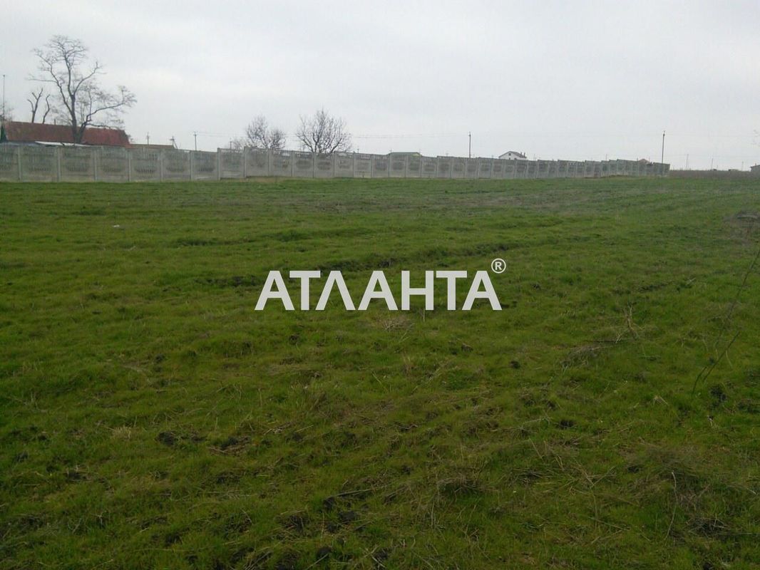 Landplot by the address st. Mira per (area 12 acr) - Atlanta.ua - photo 2