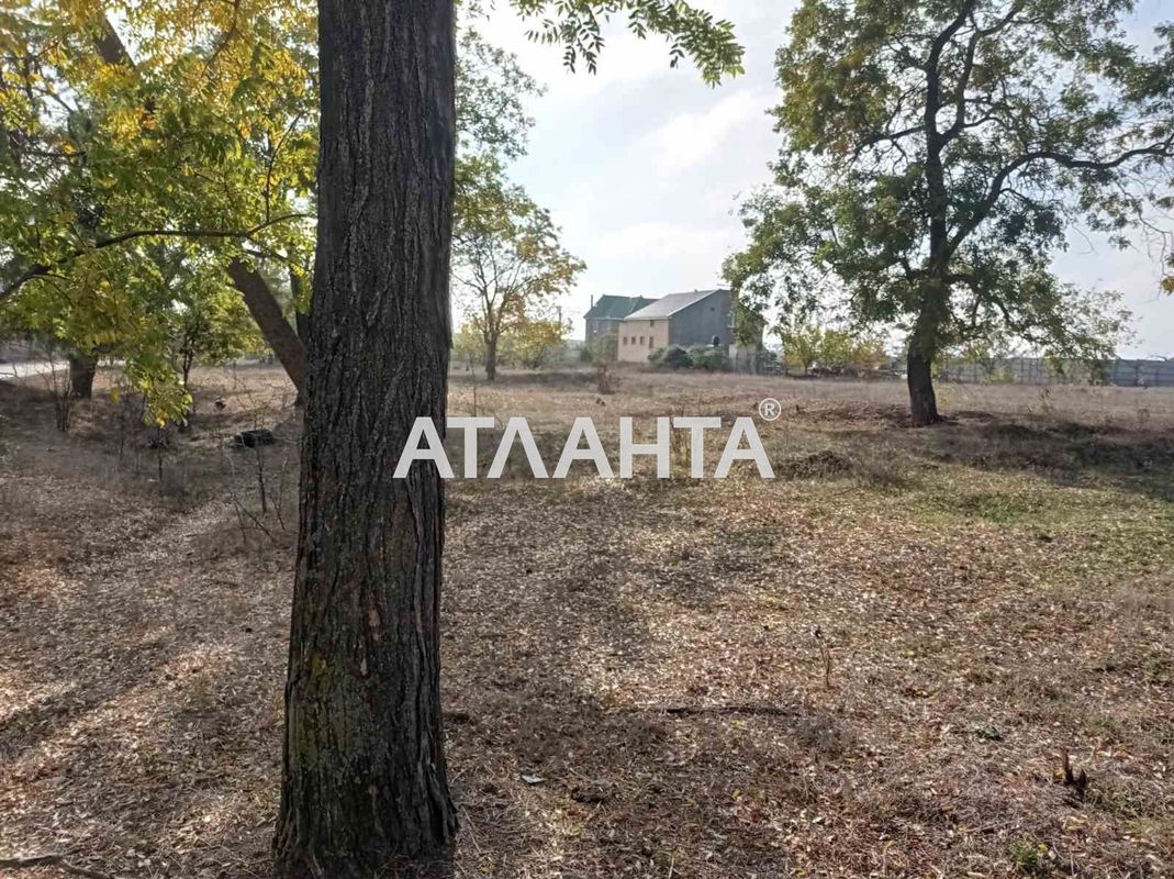 Landplot by the address st. Novoselov (area 19 acr) - Atlanta.ua - photo 4