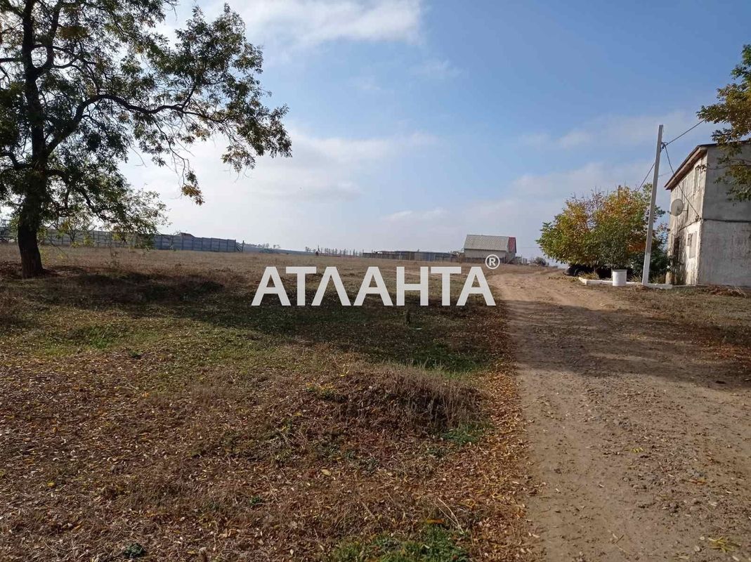 Landplot by the address st. Novoselov (area 19 acr) - Atlanta.ua - photo 5