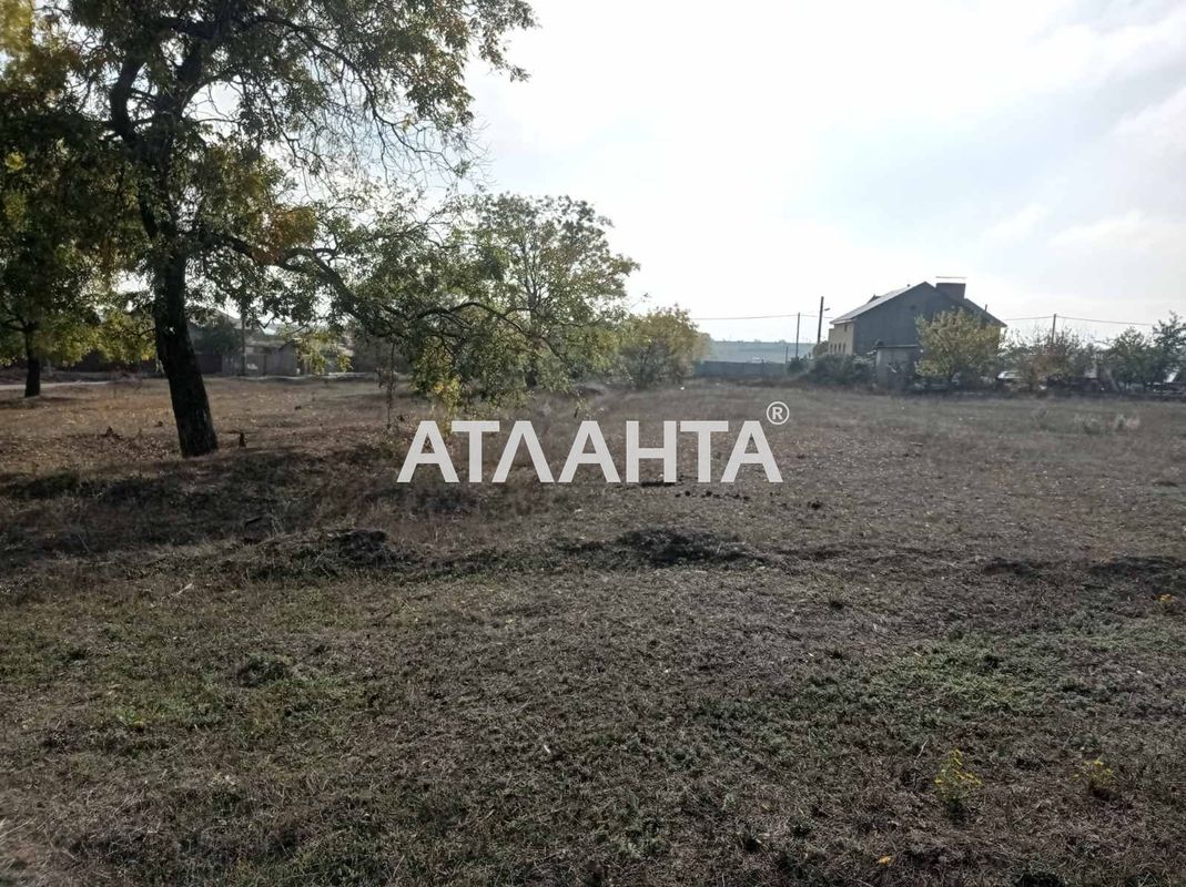 Landplot by the address st. Novoselov (area 19 acr) - Atlanta.ua - photo 7