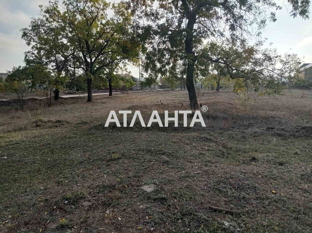 Landplot by the address st. Novoselov (area 19 acr) - Atlanta.ua - photo 8